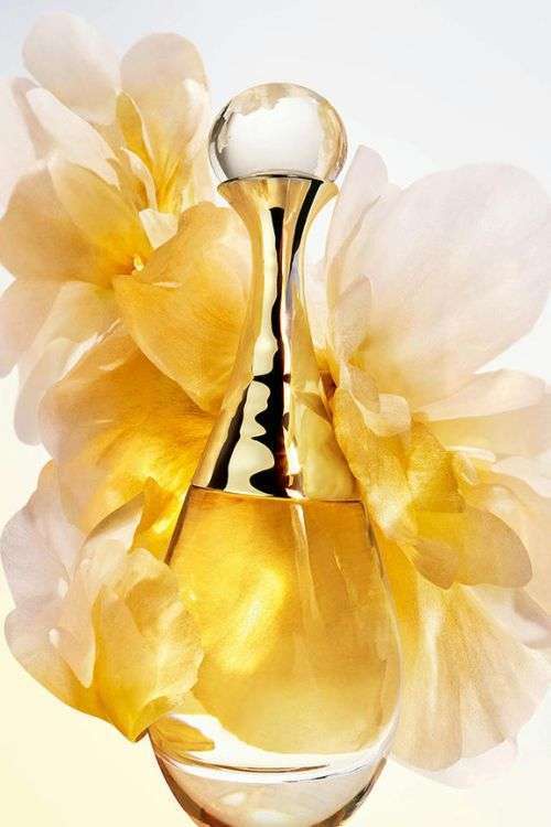 Free DIOR L'or de J'adore Parfum Sample! | FreeBFinder.com